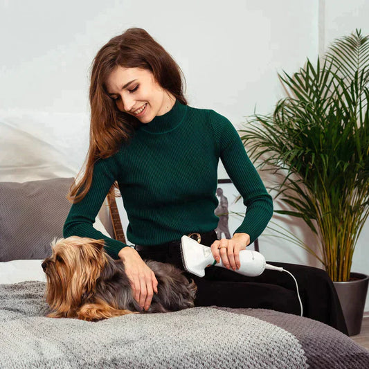 PetGlide Pro™ – Professzionális 2 az 1-ben kisállatszárító